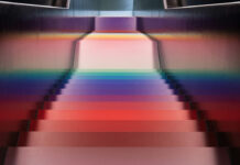 Altered States: The Breath. Certified Training starts February 2026