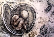 Scans and Tests During Pregnancy: What You Are Offered, What They May Bring & How to Stay Calm