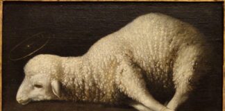 Sacrifice, Gentleness, Innocence, and Purity: Why The Lamb of God?