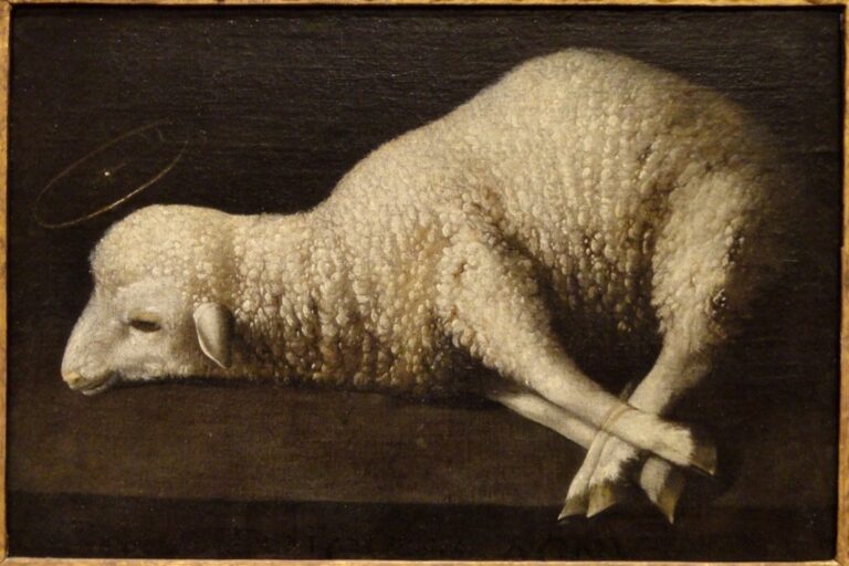 Sacrifice, Gentleness, Innocence, and Purity: Why The Lamb of God ...