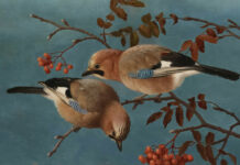 Wednesdays: Shame & Divinity